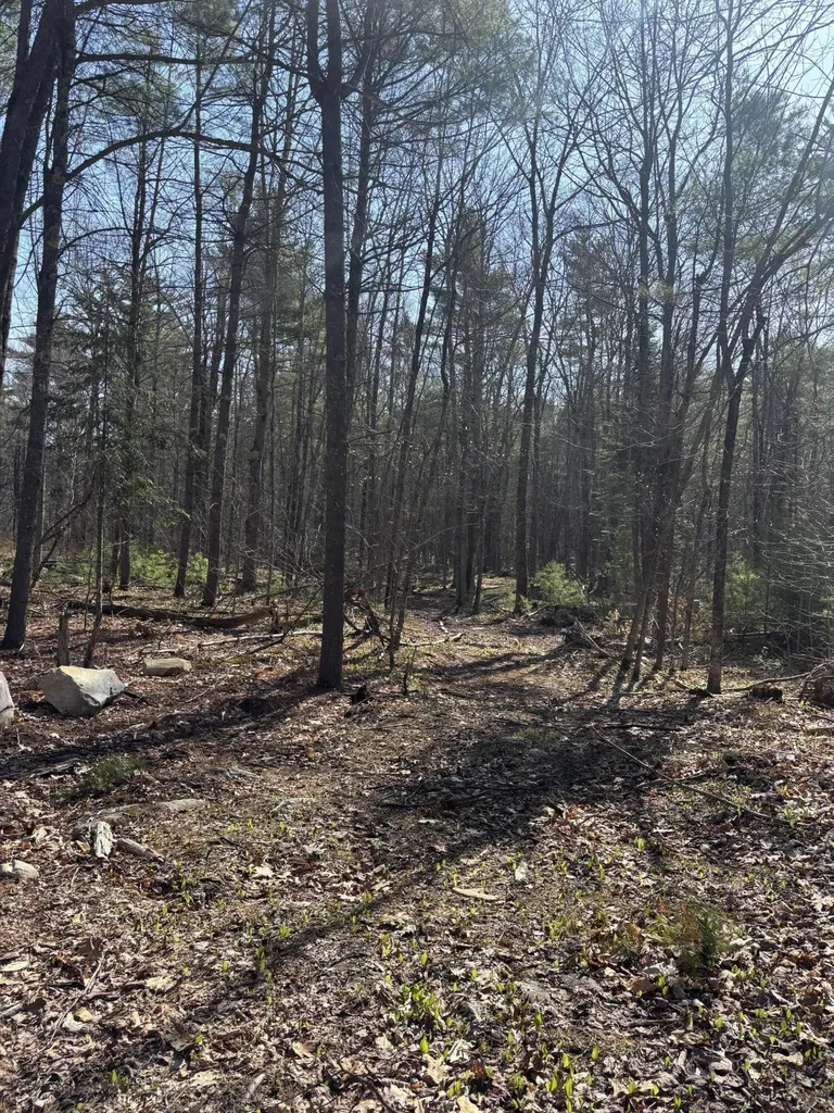 Lot 88 Bolton Hill Road Augusta ME 04330