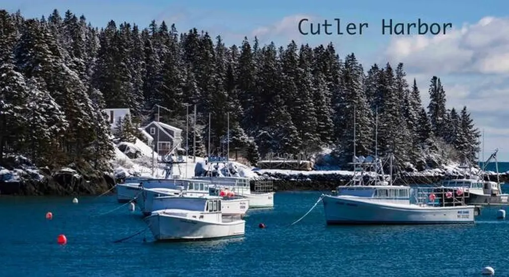 89 Johnson Cove Road Roque Bluffs ME 04654