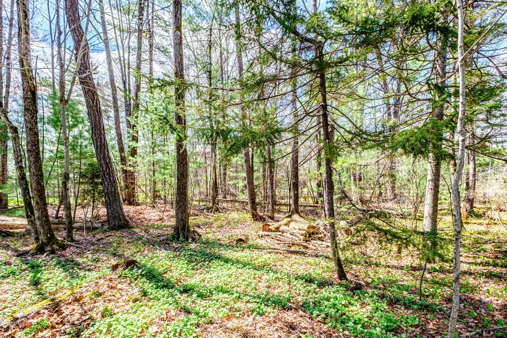 6 Coralburst Lane Scarborough ME 04074