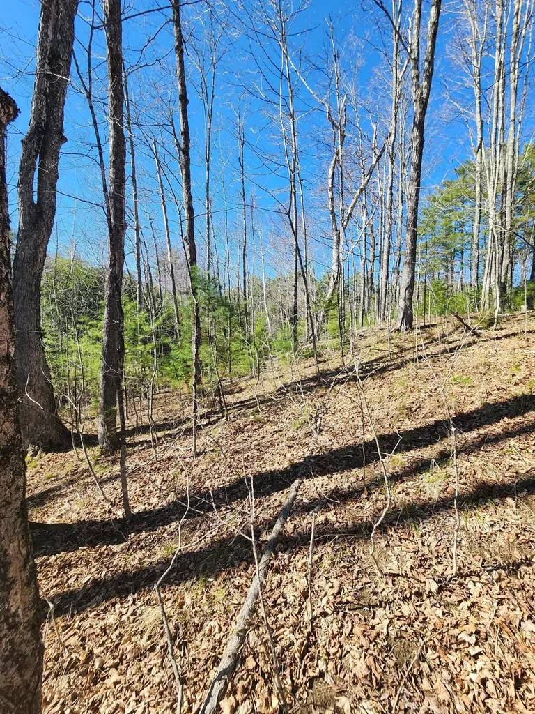 0 Madison Road Norridgewock ME 04957