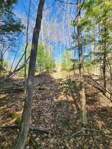 0 Madison Road Norridgewock ME 04957