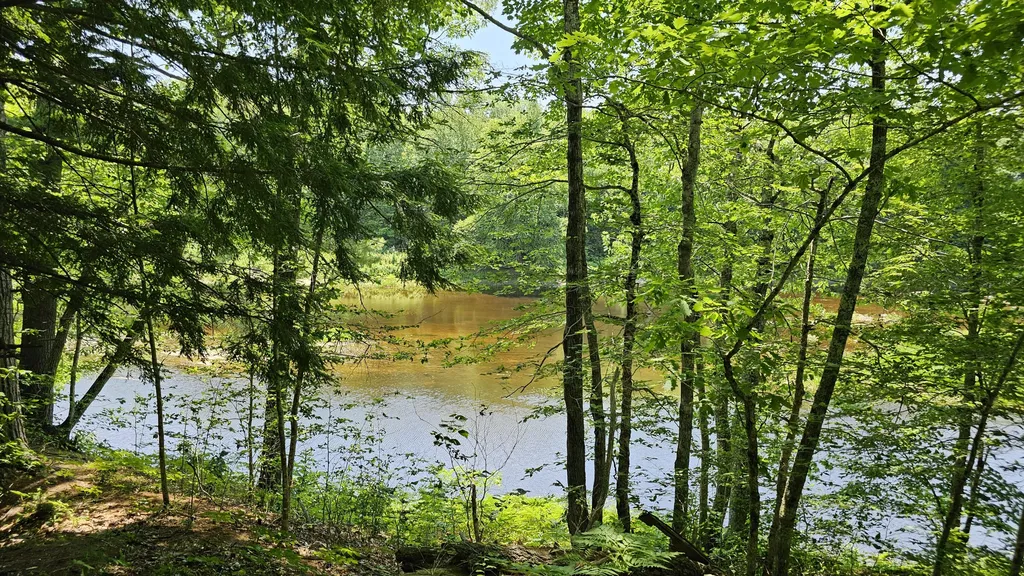 202 Stream Road Winterport ME 04496