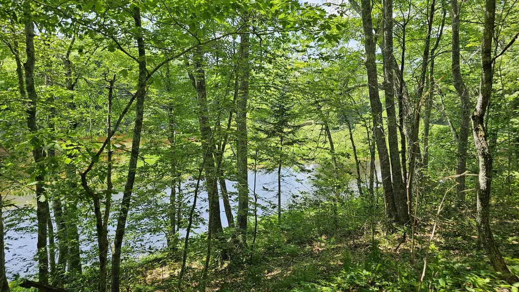 202 Stream Road Winterport ME 04496