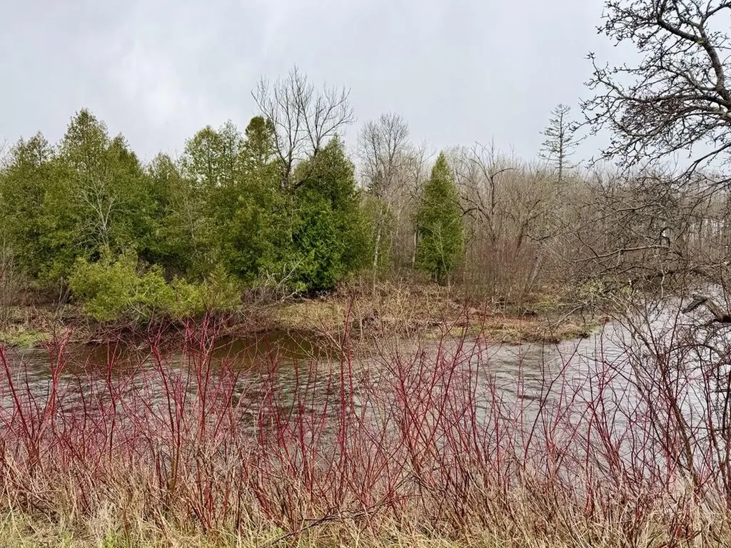12 Elliott Road Westfield ME 04787