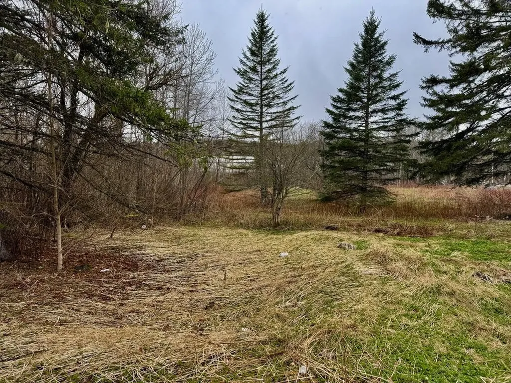 12 Elliott Road Westfield ME 04787