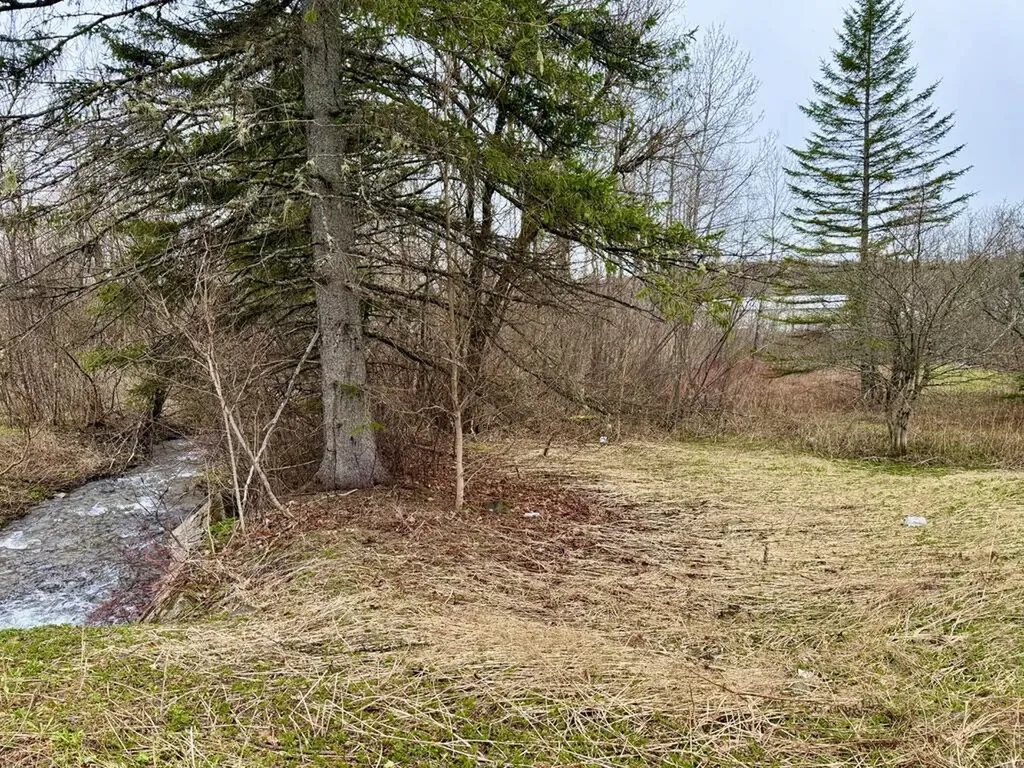 12 Elliott Road Westfield ME 04787