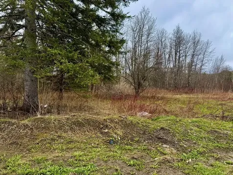 12 Elliott Road Westfield ME 04787