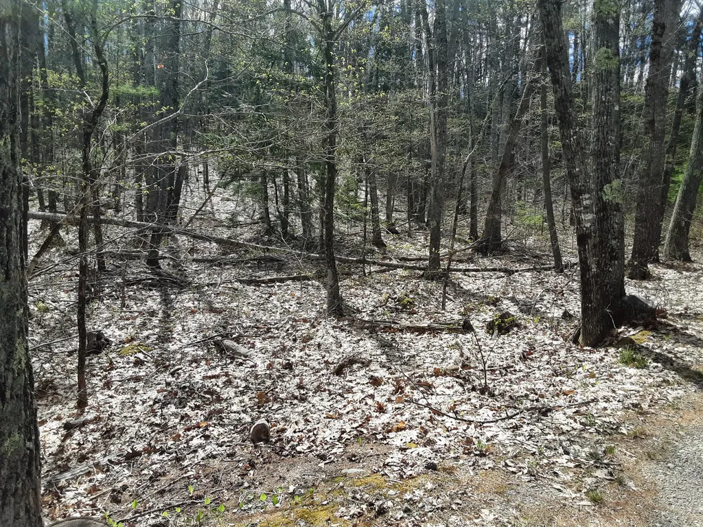 0 Libby Road Jefferson ME 04348