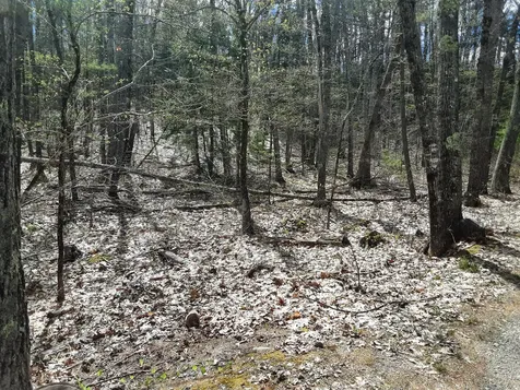 0 Libby Road Jefferson ME 04348