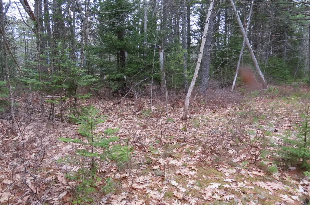 23 Porcupine Road Sullivan ME 04664