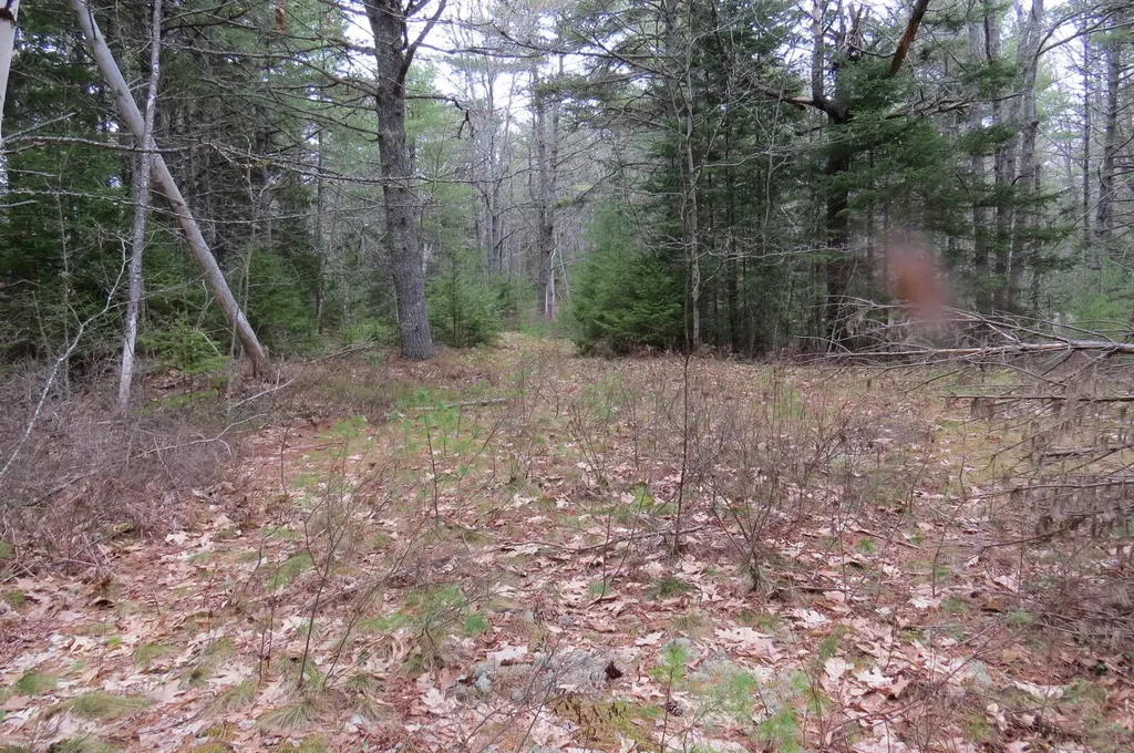 23 Porcupine Road Sullivan ME 04664