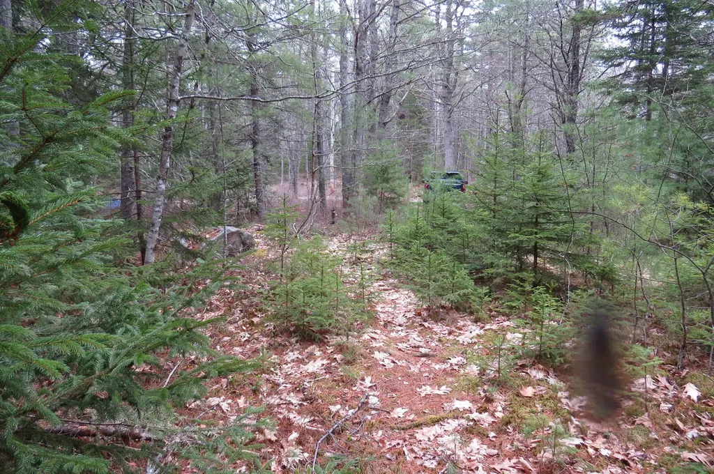 23 Porcupine Road Sullivan ME 04664