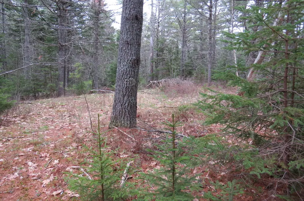 23 Porcupine Road Sullivan ME 04664