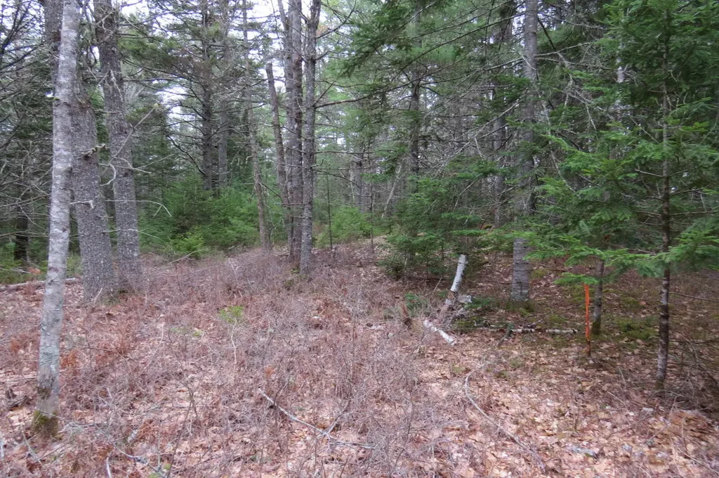 23 Porcupine Road Sullivan ME 04664