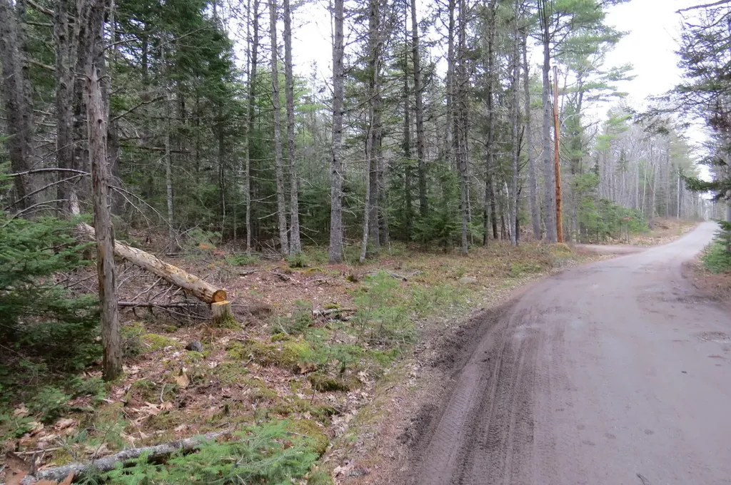 23 Porcupine Road Sullivan ME 04664