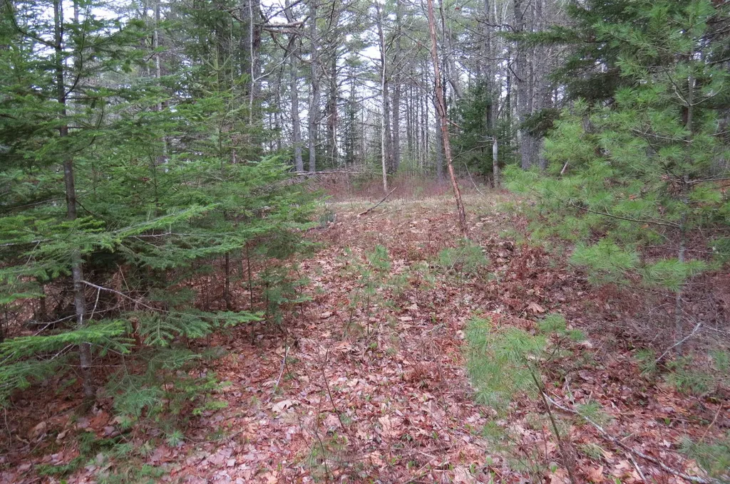 23 Porcupine Road Sullivan ME 04664