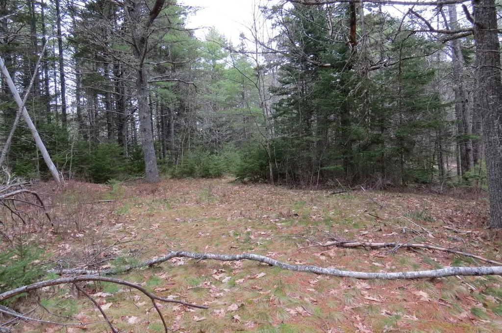 23 Porcupine Road Sullivan ME 04664
