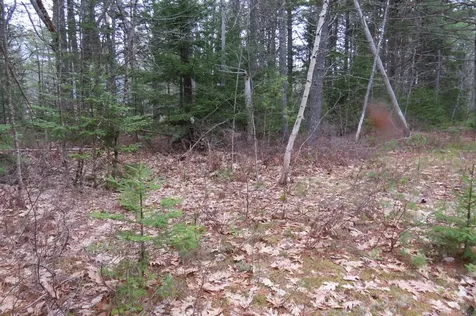 23 Porcupine Road Sullivan ME 04664