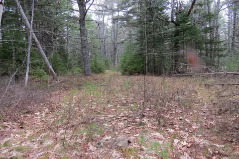 23 Porcupine Road Sullivan ME 04664