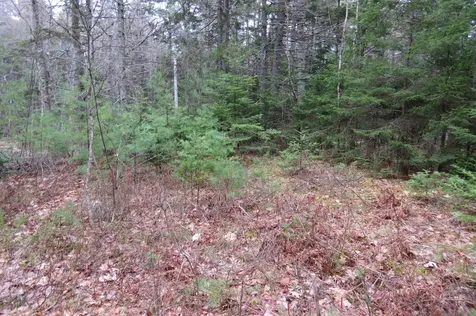23 Porcupine Road Sullivan ME 04664
