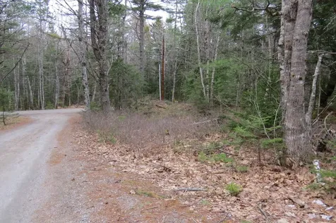 23 Porcupine Road Sullivan ME 04664