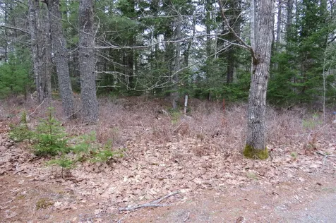23 Porcupine Road Sullivan ME 04664