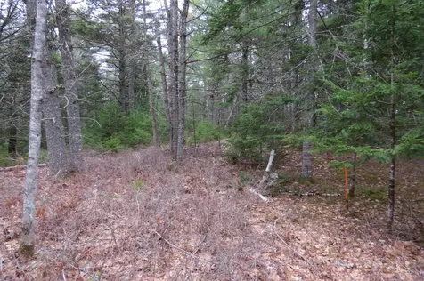 23 Porcupine Road Sullivan ME 04664