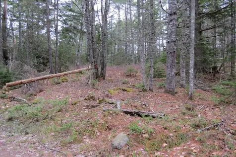 23 Porcupine Road Sullivan ME 04664