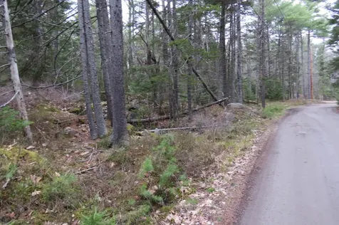 23 Porcupine Road Sullivan ME 04664