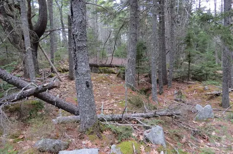 23 Porcupine Road Sullivan ME 04664