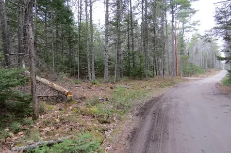 23 Porcupine Road Sullivan ME 04664