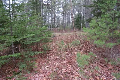 23 Porcupine Road Sullivan ME 04664