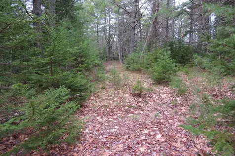 23 Porcupine Road Sullivan ME 04664