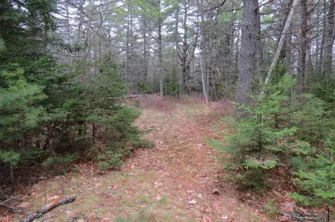 23 Porcupine Road Sullivan ME 04664