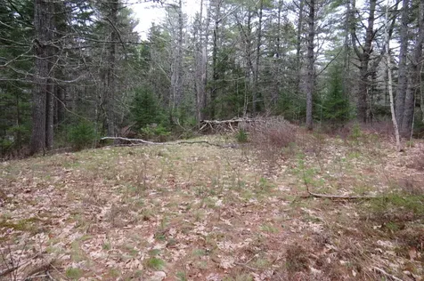 23 Porcupine Road Sullivan ME 04664