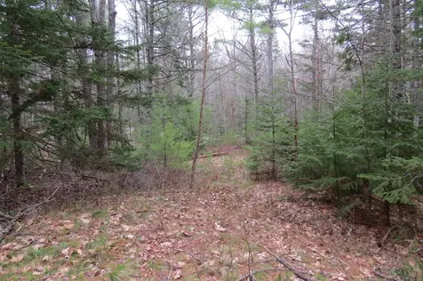 23 Porcupine Road Sullivan ME 04664