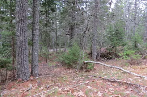 23 Porcupine Road Sullivan ME 04664