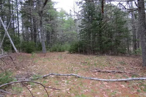 23 Porcupine Road Sullivan ME 04664