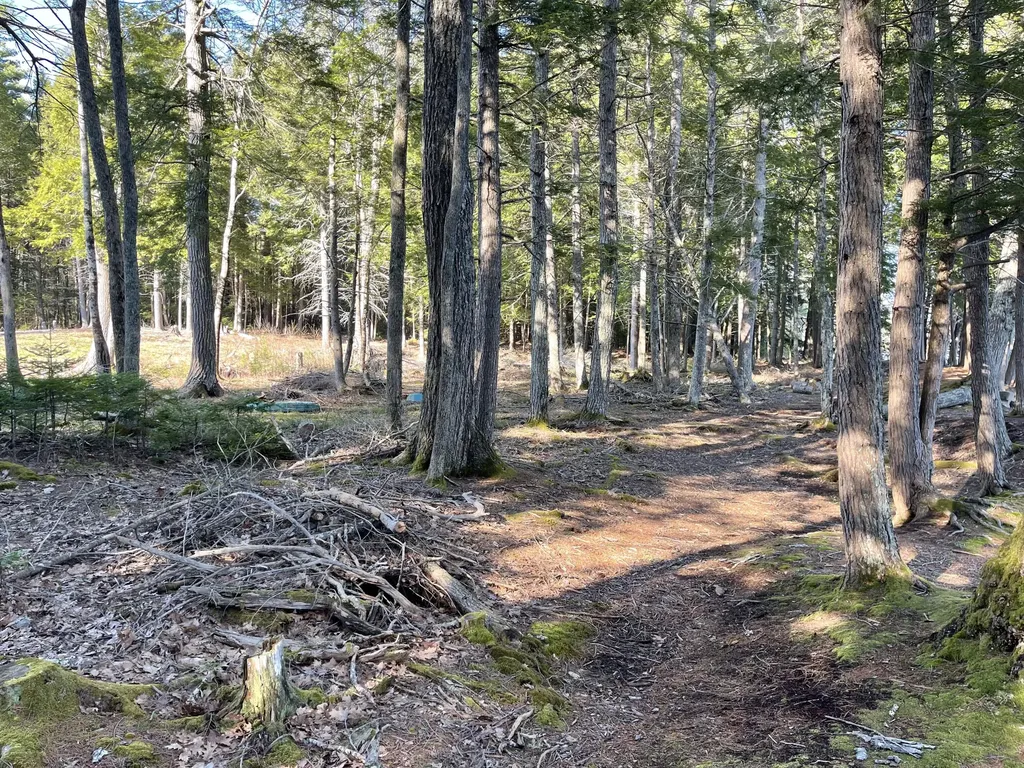 Lot 35-b Corduroy Road Nobleboro ME 04555