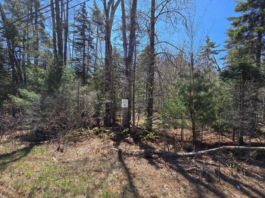 Lot #3 Turkey Cove Road Saint George ME 04860