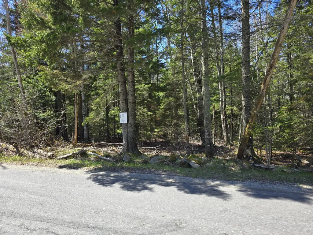 Lot #6 Wallston Road Saint George ME 04860