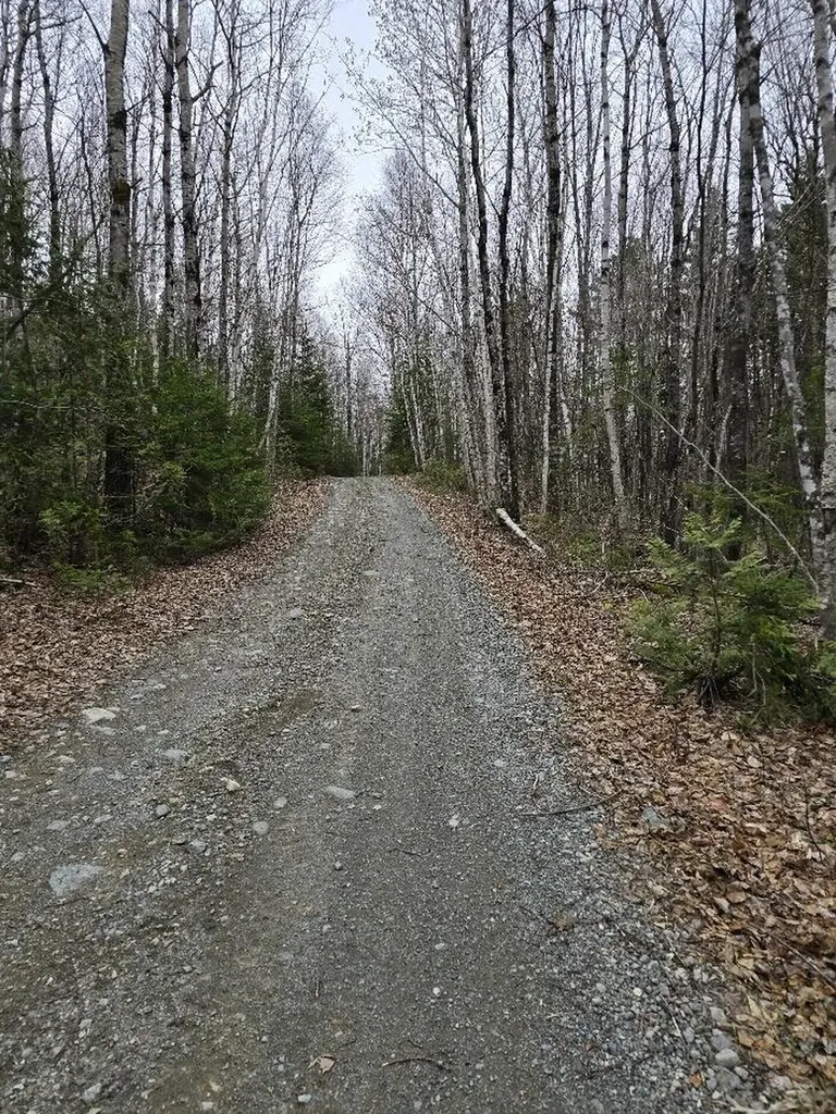 Lot 18-5 Camp Road Mount Chase ME 04765