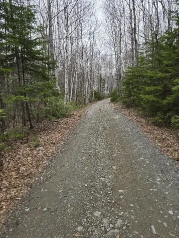 Lot 18-5 Camp Road Mount Chase ME 04765