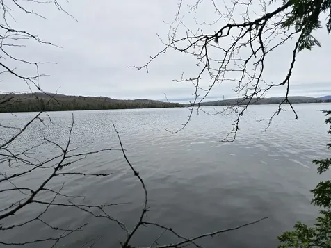 Lot 18-5 Camp Road Mount Chase ME 04765