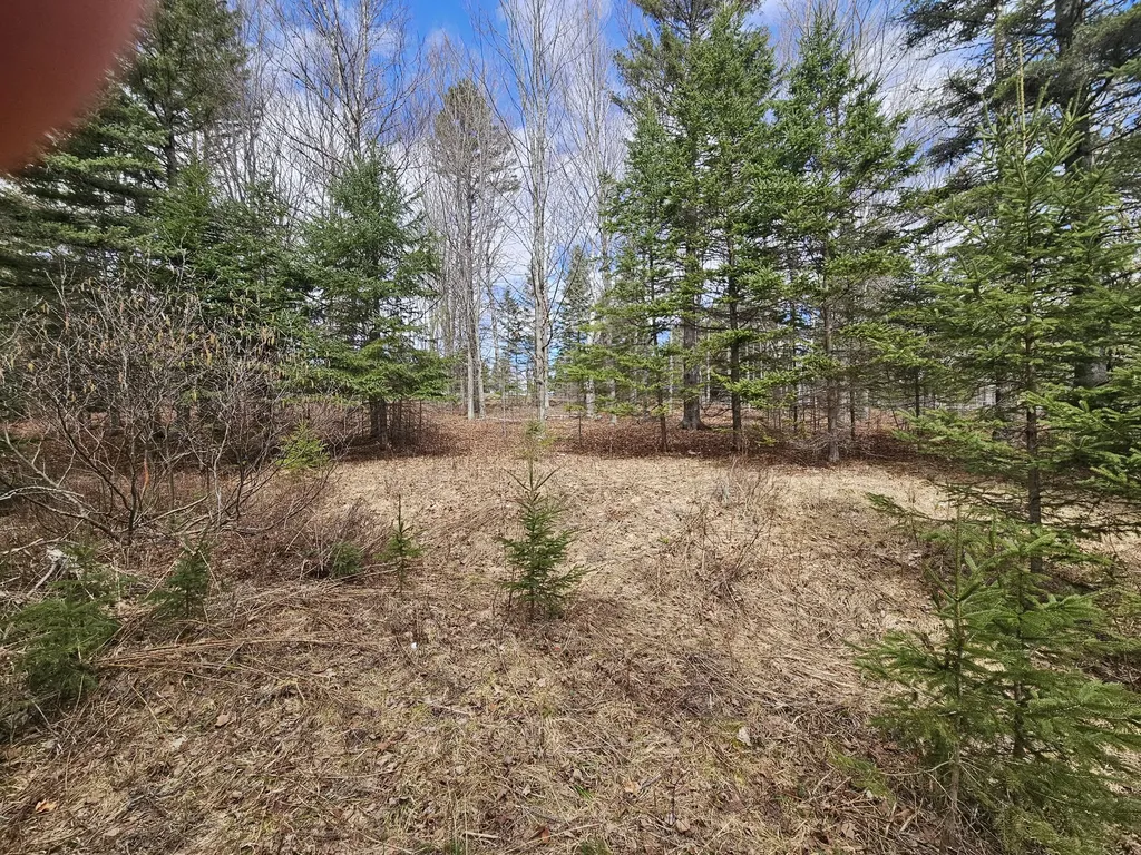 Lot 9 Amber Road Rangeley ME 04970