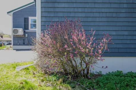 25 Arbor Drive Veazie ME 04401