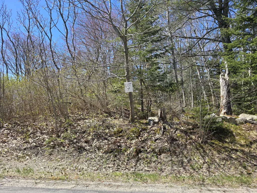 Lot #7 Wallston Road Saint George ME 04860