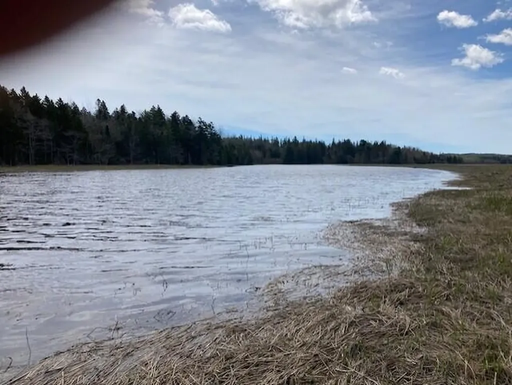 Lot 1 Point Street Addison ME 04606
