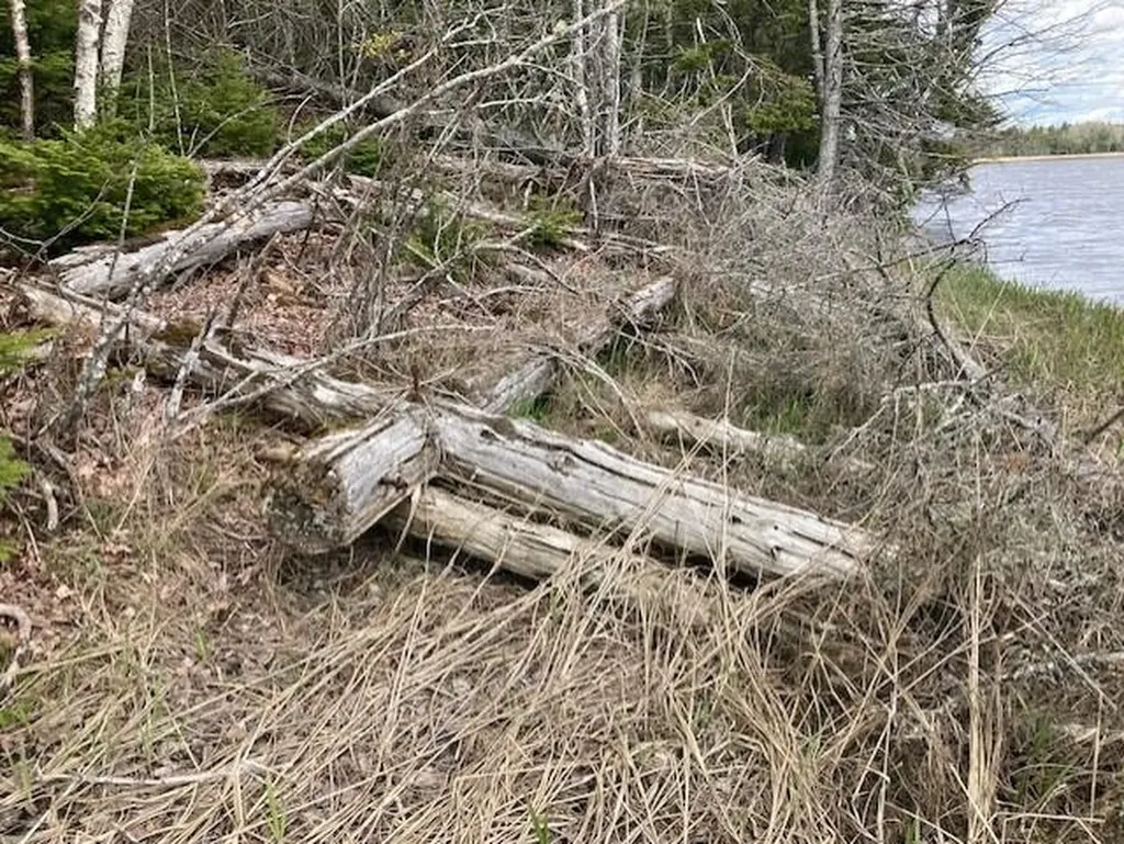 Lot 1 Point Street Addison ME 04606