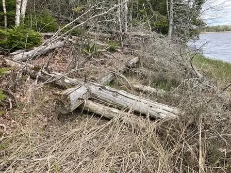 Lot 1 Point Street Addison ME 04606